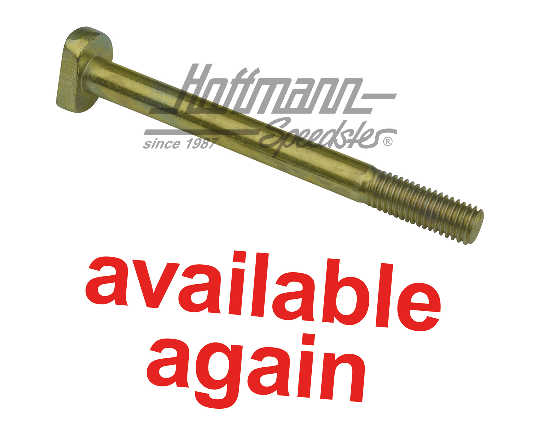 Vite con testa a martello, montaggio motore, M10x110 | 111 199 101 | 010-0993