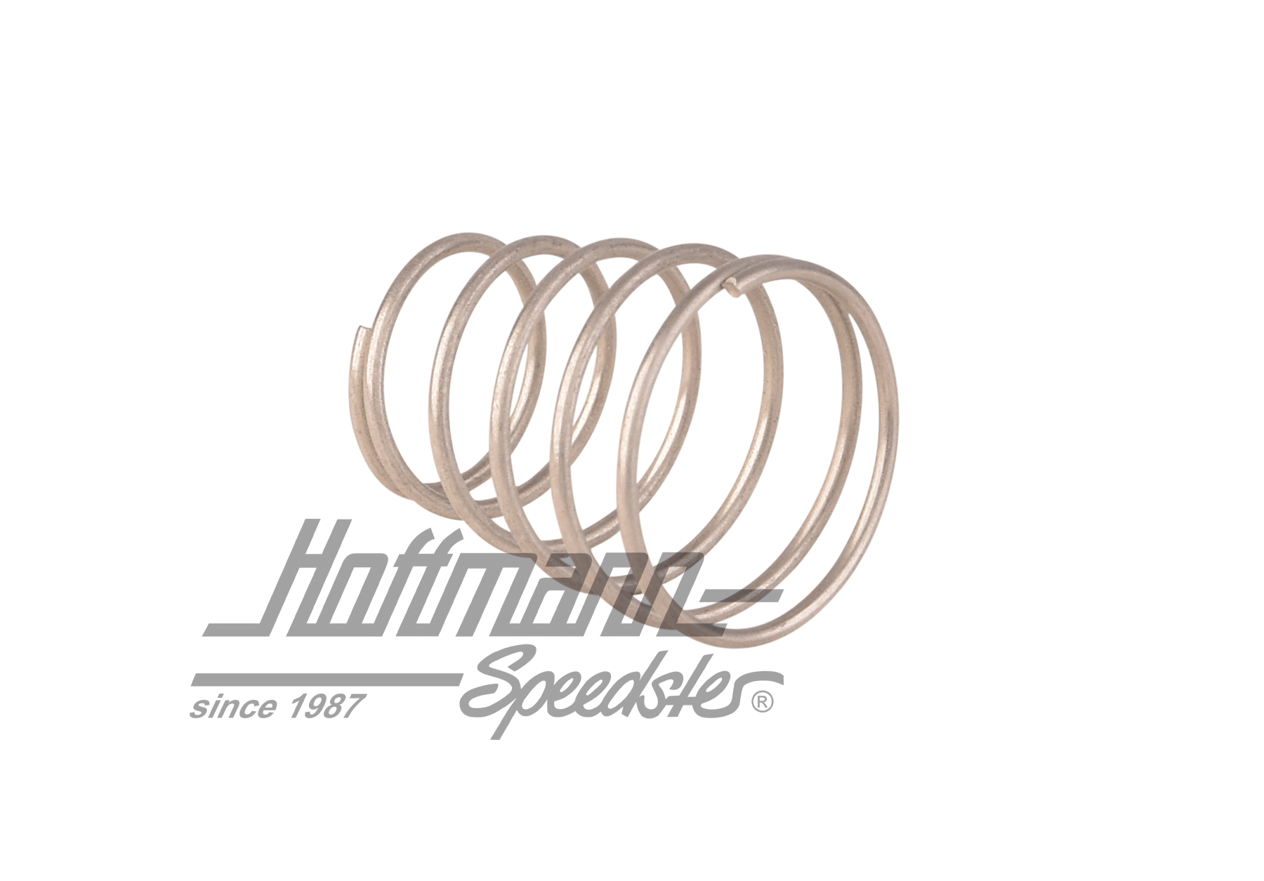 Molla, membrana, pompa di accelerazione                                                             