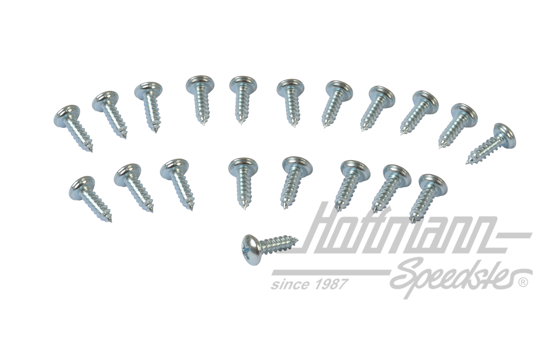 Viti, Westfalia (20 pezzi) | 255 070 240 | 385-3012