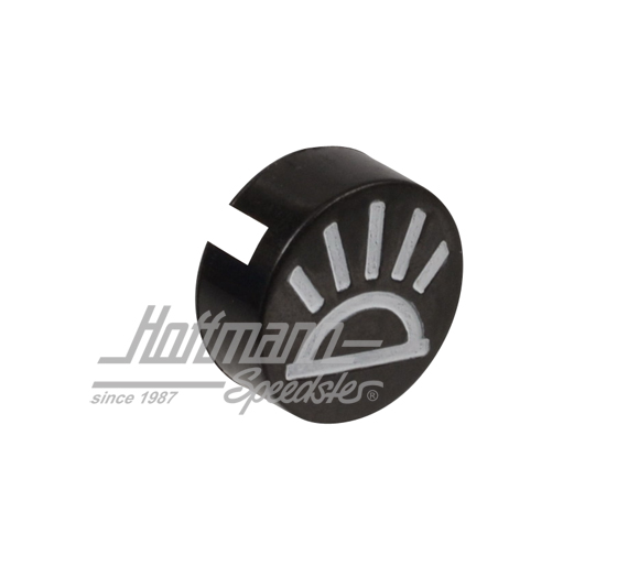 Inserimento simbolo, interruttore, plafoniera interna, Furgone T2                                   