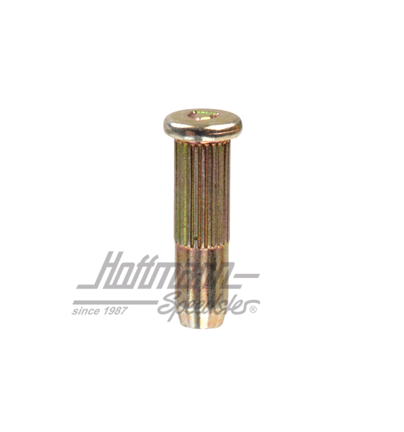 Bulloni di sicurezza, fermaporta, Golf 1/2 | 191 837 257 B | 180-1060