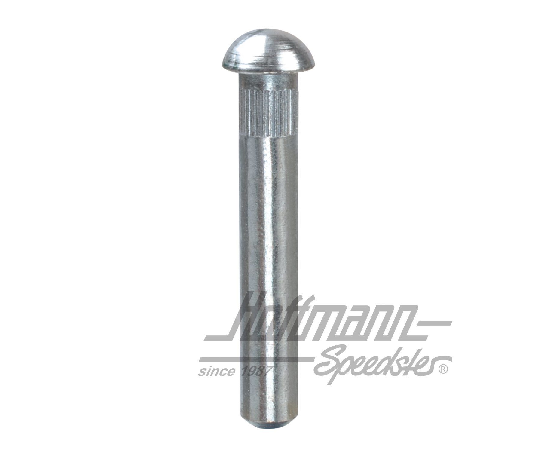 Perno di cerniera porta, ø8.2mm (sovramisura 2.) | 211 831 421 B | 089-5040-09