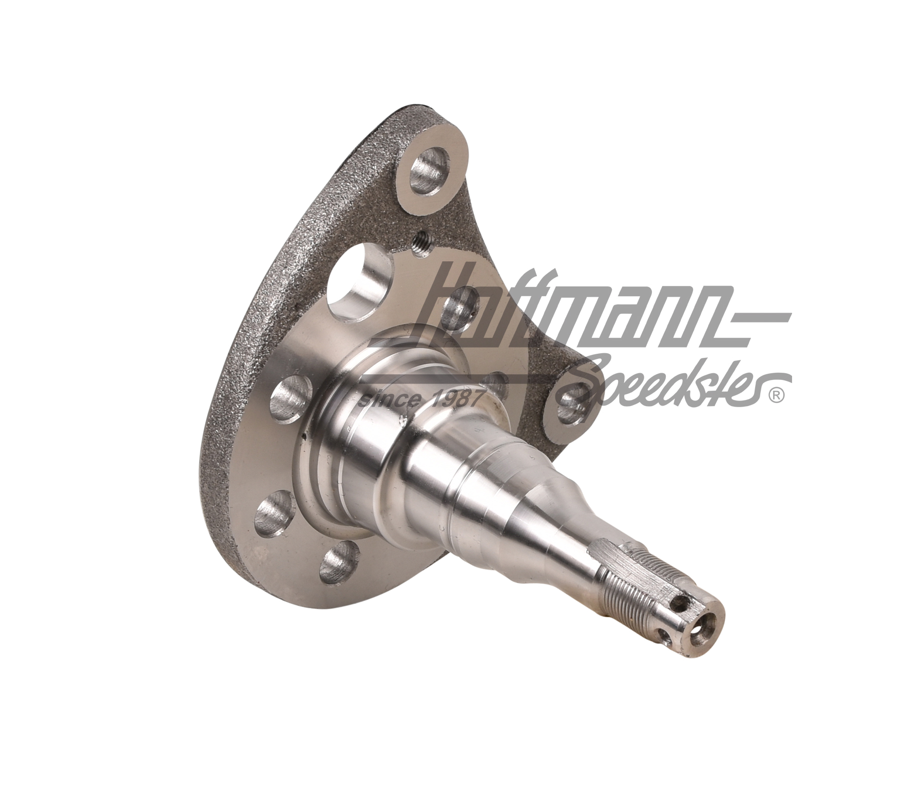 Perno di asse, posteriore, freno a disco, sinistro | 333 501 117 | 204-0921