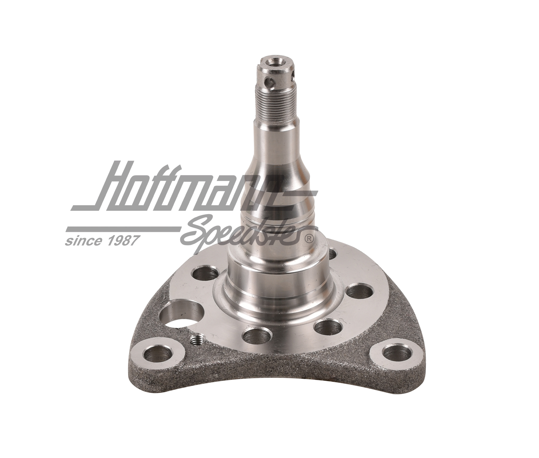 Perno di asse, posteriore, freno a disco, destro                                                    