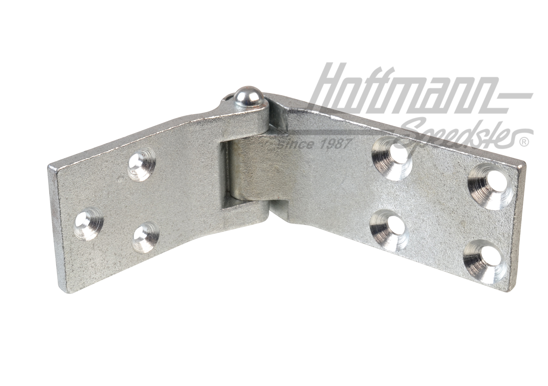 Cerniera porta, Furgone T1, superiore, sinistra | 211 831 401 | 089-5038-11