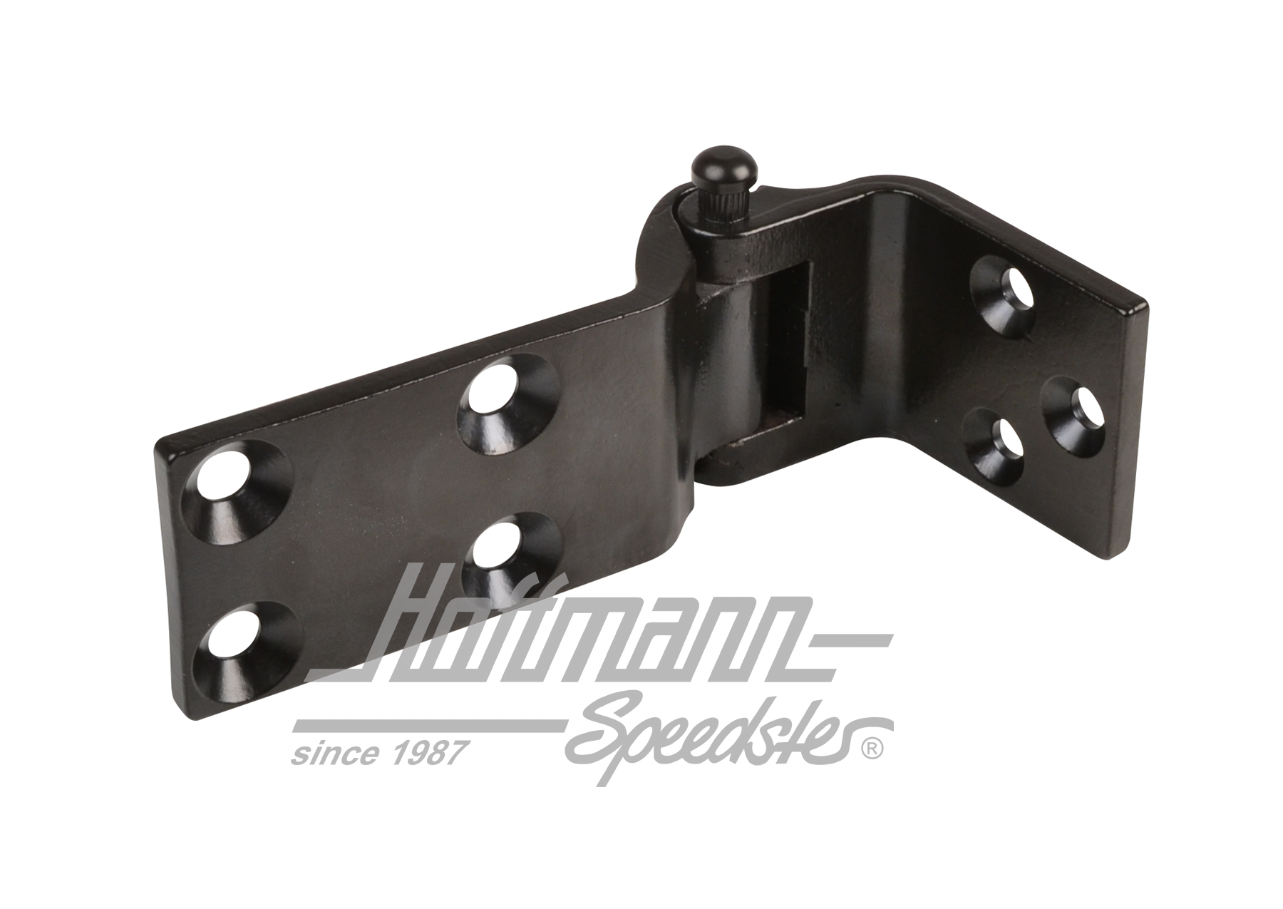 Cerniera porta, Furgone T1, inferiore, destra | 211 831 412 | 089-5038-42