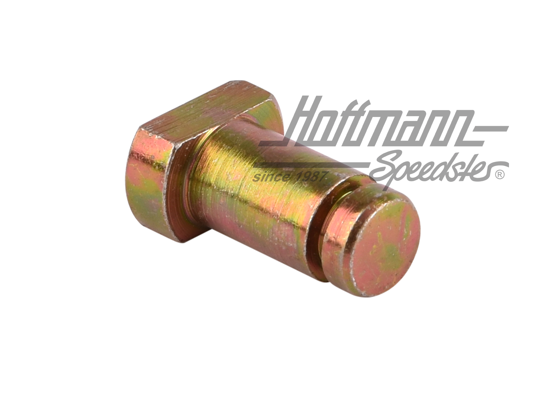 Bullone, cerniera portellone posteriore, corto | 361 827 399 | 089-5060-50