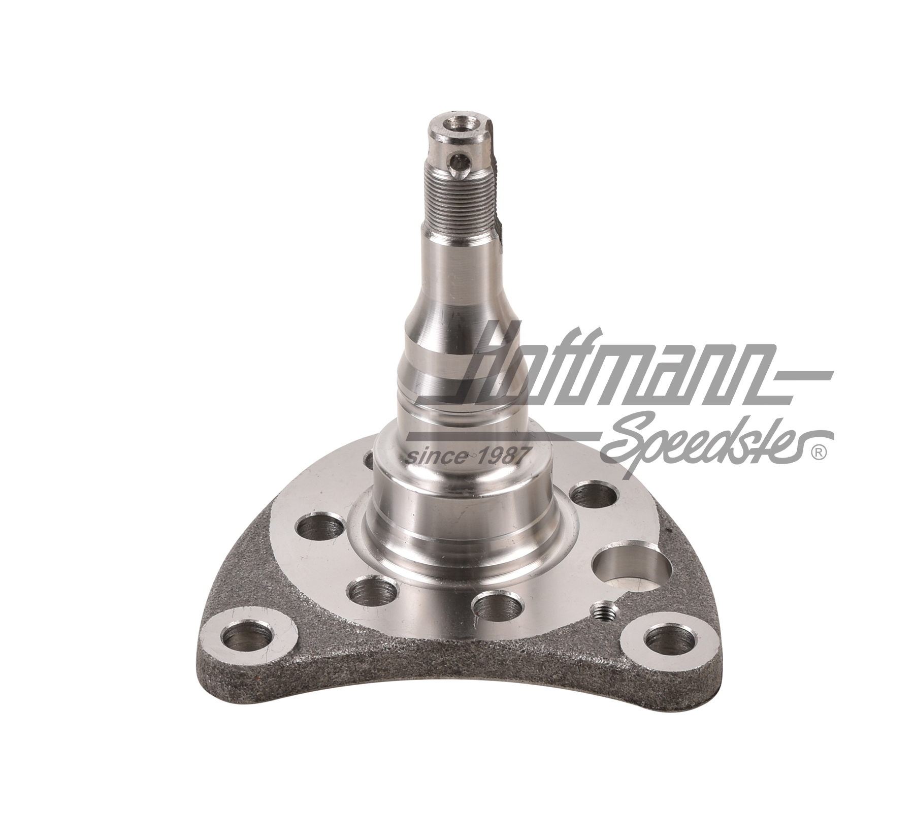 Perno di asse, posteriore, freno a disco, sinistro                                                  