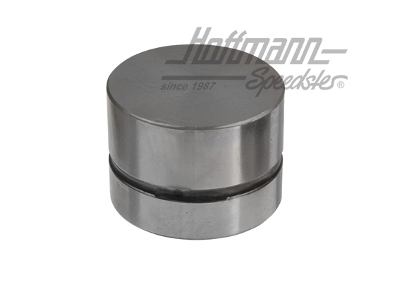 Bicchierini valvola
 (bicchierini idrauliche), 1.6-1.8 | 034 109 309 AD | 110-1100