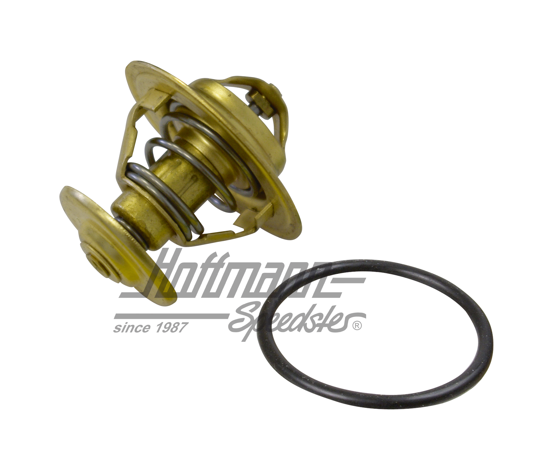 Termostato, refrigerazione per acqua, Golf /Furgone T3 | 068 121 113 H | 110-1575