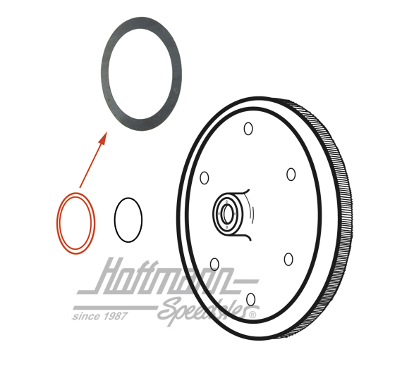 Rondella, volano, 0.32mm, -3.66                                                                     