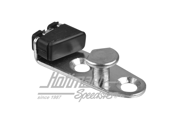 Piastra di chiusura, portellone posteriore, Furgone T2 | 155 829 221 | 097-1053-04