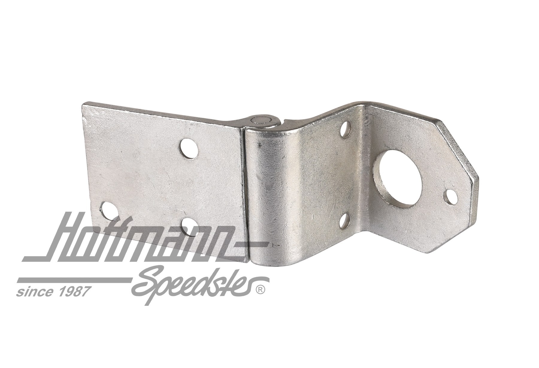 Cerniera della portiera, lato conducente, inferiore, sinistra                                       