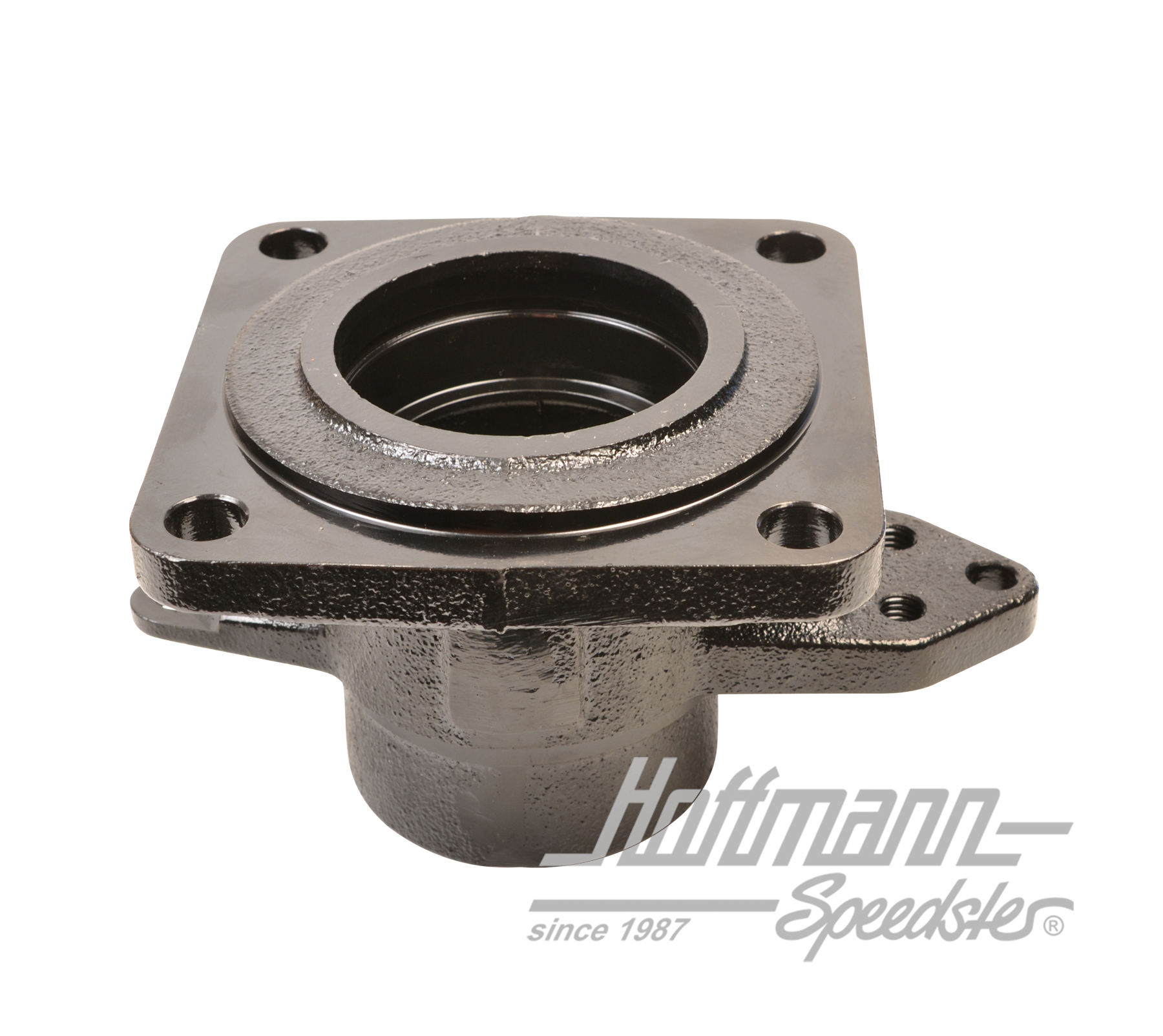 Alloggiamento del cuscinetto della ruota, posteriore, Furgone T3, DX/SX                             