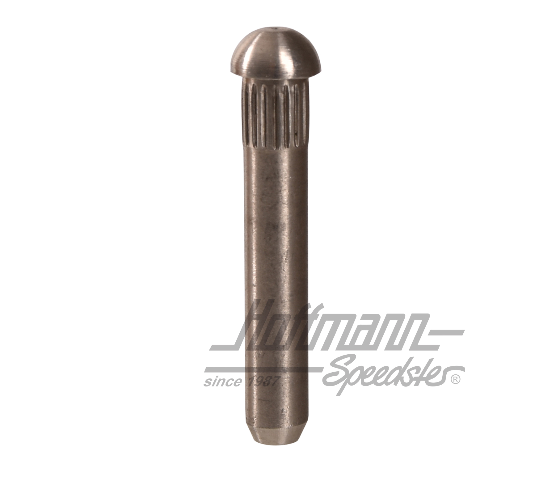 Perno di cerniera porta, ø8.5mm (sovramisura 3.) | 211 831 421 | 089-5040-10