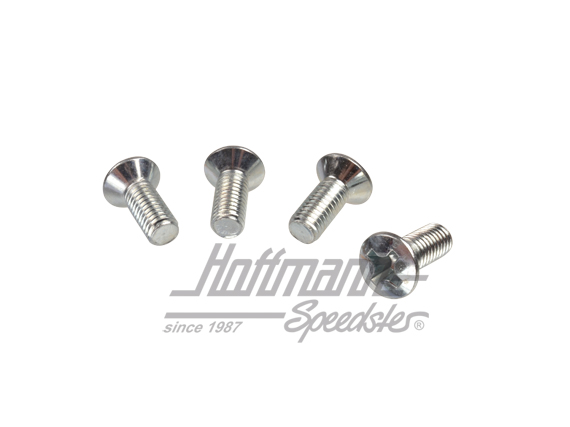 Vite, piastra di chiusura / cerniera porta | 211 831 701 B | 089-5045-04