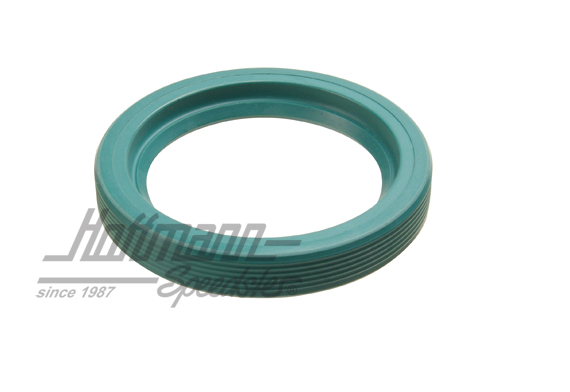 Paraolio, puleggia, 356/912 | 999 113 012 50 | 505-1026-05